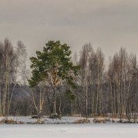 Карьеры зимой :: Сергей Цветков