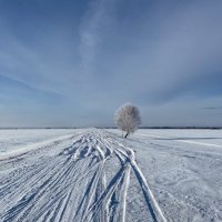 Зимне-полевой минимализм. :: Сергей Адигамов