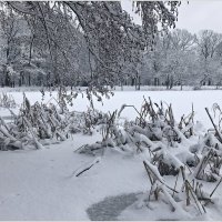 Зима на озере. :: Валерия Комова