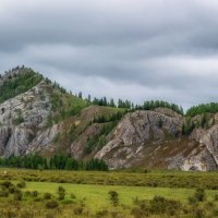 В долине Чарыша :: Виктор Четошников