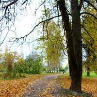 Осень :: Наталья Герасимова