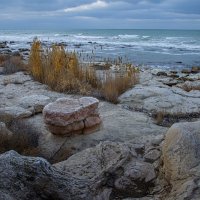 Берег Каспия :: Анатолий Чикчирный