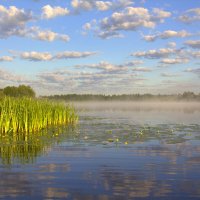Утро на озере :: Сергей Даденков 