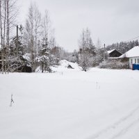 Зимняя деревня :: Надежда Щербакова