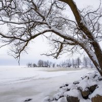 Зима в Петергофе :: Роман Алексеев