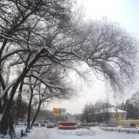 Зимой в городе :: Елена Семигина