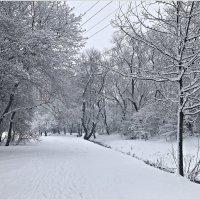 Зима в парке. :: Валерия Комова