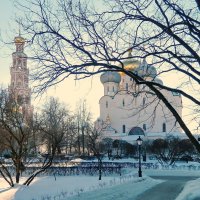 Новодевичий монастырь :: Алла Захарова