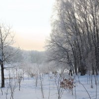 Морозным февральским утром. :: Инна Щелокова