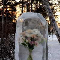 Цветы во льду :: Savayr 
