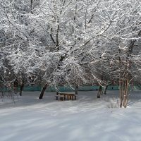 После снегопада во дворе :: Galina Solovova