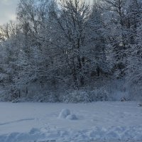 На замёрзшем пруду :: Александр Буянов