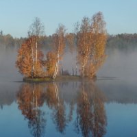 Берёзовый остров..,.... :: Юрий Цыплятников