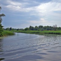 В плавнях Днепра :: Татьяна Ларионова