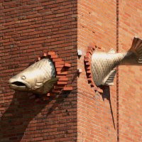 ...очень быстрая Золотая рыбка... :: Sergey Krivtsov