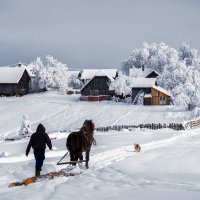 У Карпатах :: Степан Карачко