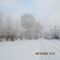 зимний день,белый тополь :: Олег Овчинников