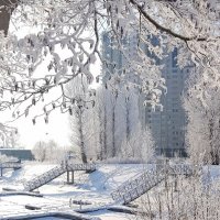 Зима :: Мухина Наталья 
