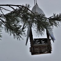 В парке. :: Венера Чуйкова