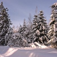 Зима - это сказка... :: Валерий Иванович