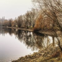 На озере :: Alexander Andronik