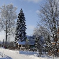 Зима в деревне :: Николай 