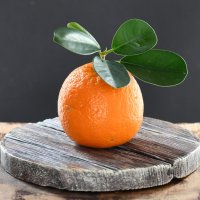 апельсин :: Андрей Кузьмин Эдуардович