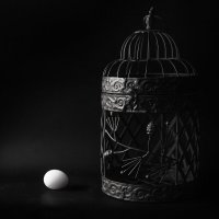 Cage :: Ирина Солощ