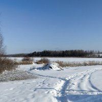 Смоленщина в феврале (из поездок по области). :: Милешкин Владимир Алексеевич 