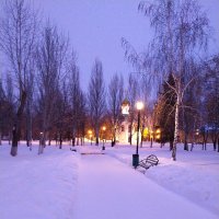Вечер в парке :: Татьяна Гузева