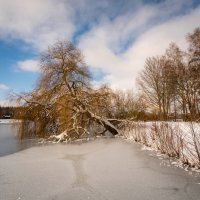 Застывшее движение :: Николай Гирш