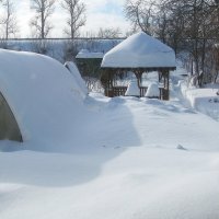 В саду после снегопада :: Людмила Смородинская