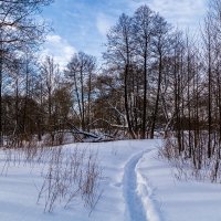 Снежный февраль двадцать первого года # 3 :: Андрей Дворников