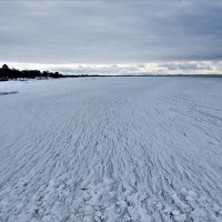 Редкое явление. Балтийское море замерзло. :: Марина 