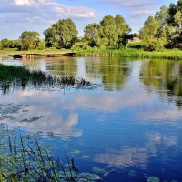 Маленький кусочек лета. :: Восковых Анна Васильевна 