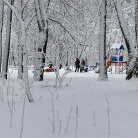 Зима и дети. :: Милешкин Владимир Алексеевич 