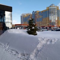 Город в снегу :: Galina Solovova