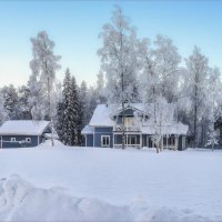 Про финские домики (3) :: Shapiro Svetlana 