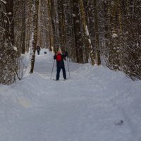 прогулка зимой на лыжах :: Ринат Засовский