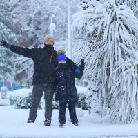 Снег в Афинах(16.02.2021) Такого снега не было 35 лет здесь! :: Оля Богданович