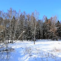 зима :: Владимир Холодницкий