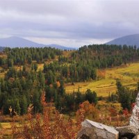 Кедровники в Кузнецком Алатау :: Сергей Чиняев 