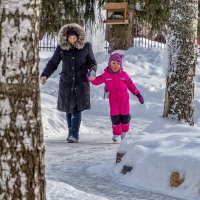 По скольскому льду. :: Анатолий. Chesnavik.