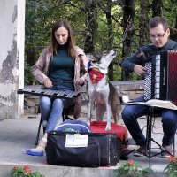 "Трио", уличные музыканты, г. Железноводск :: Александр 