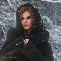 Зимний портрет :: Анатолий Клепешнёв