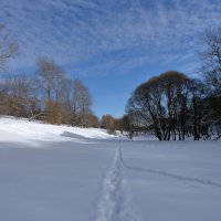 В Москве появились признаки скорой весны. :: Александр Сергеевич 