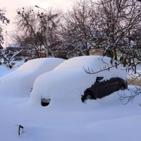 Ждем, когда хозяева проснутся... :: Александр 