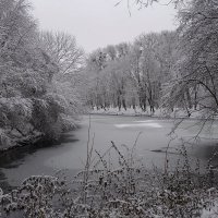 В зимнем парке :: Маргарита Батырева