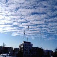 Стаи белых облаков на голубом февральском небе :: Maryana Petrova