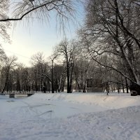 Лопухинский сад :: Наталья Герасимова